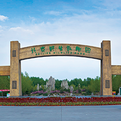 122cc太阳集成游戏(中国)有限公司官网